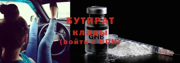 сатива Беломорск