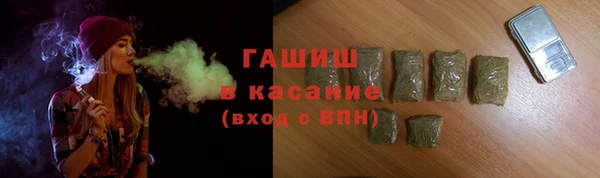 сатива Беломорск