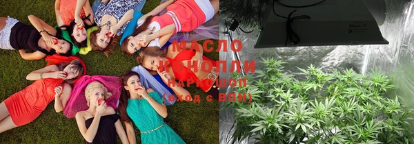 мяу мяу кристалл Богданович
