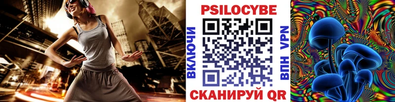 мега tor  Купино  Псилоцибиновые грибы Cubensis 