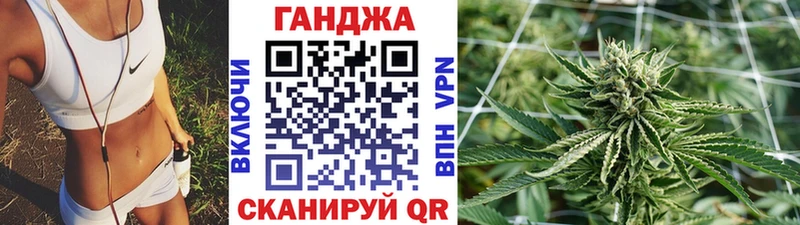 Конопля гибрид  Купино 